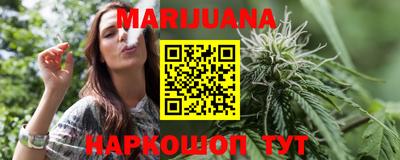 бошки Кингисепп