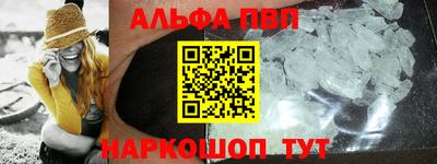 бошки Кингисепп