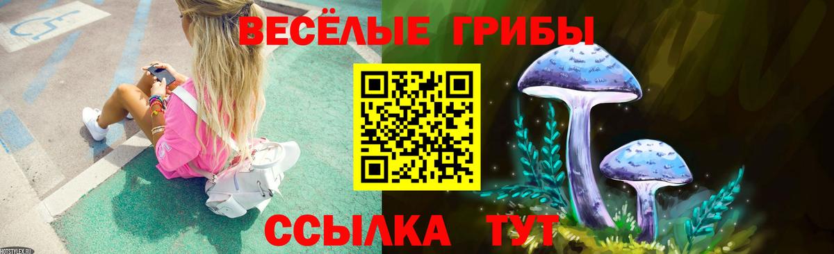 Псилоцибиновые грибы мухоморы  Вход с VPN  Галлюциногенные грибы GOLDEN TEACHER  Кувандык 
